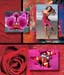 1_FabricBannerArt