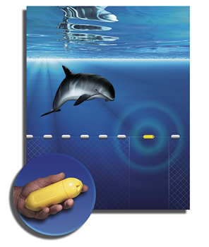 Pinger_PorpoiseNET_FINAL