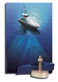 Widebeam_marlin_HIRES