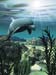 Dolphin_CMYK_sm