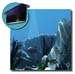 R99_Grouper_6x6